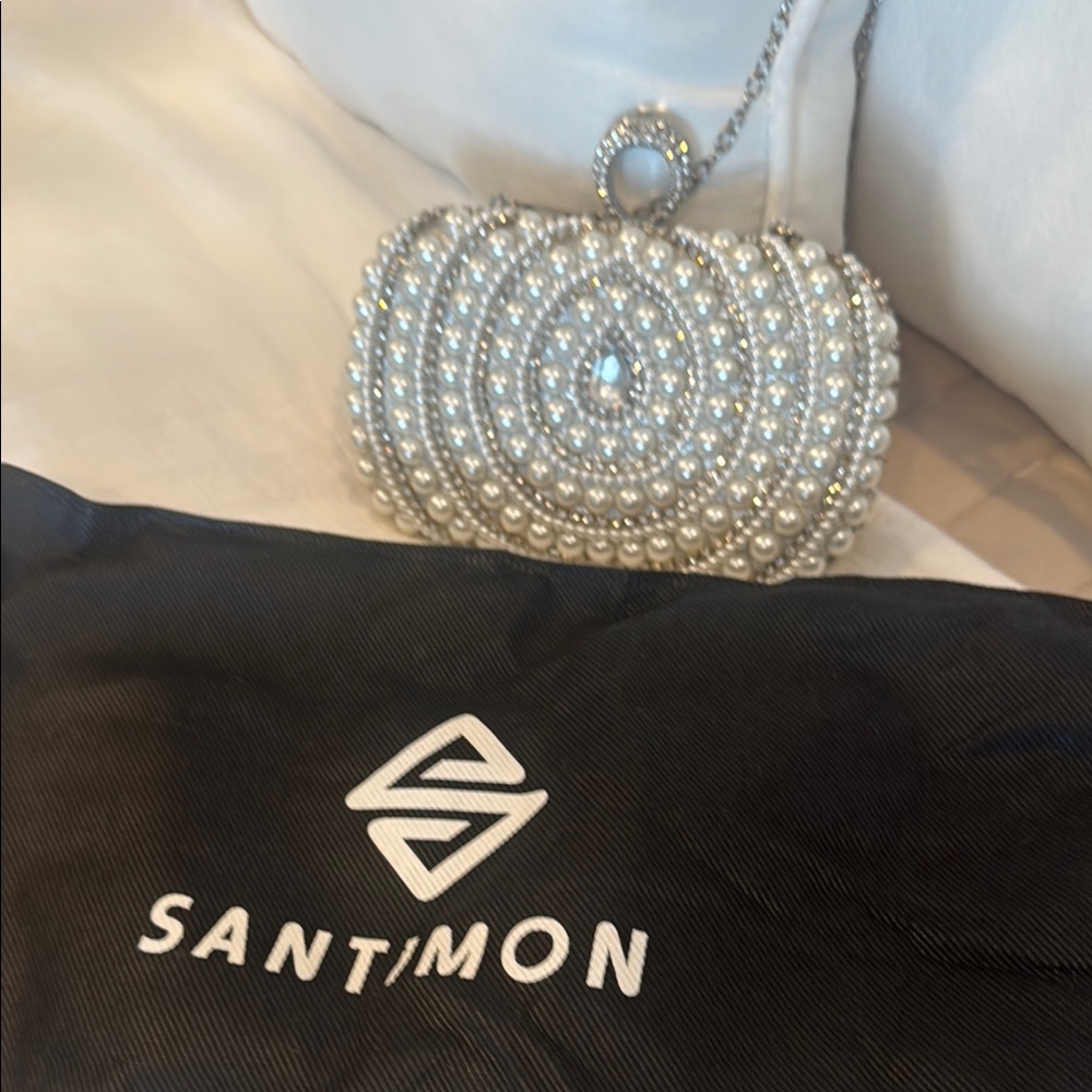 Silver Crystal Embellished Clutch